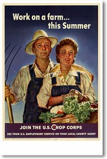 Work on a farm this Summer -