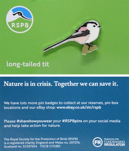 Rspb pin badge niic - pin,