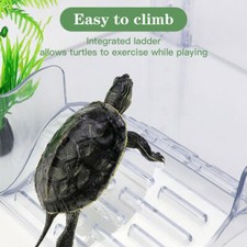 Fish Tank Platform Turtle