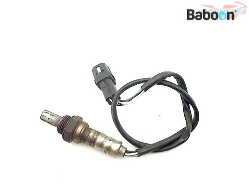 Oxygen sensor ktm 1190 rc8 - 1190, +