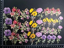 30 assorted flower die cuts