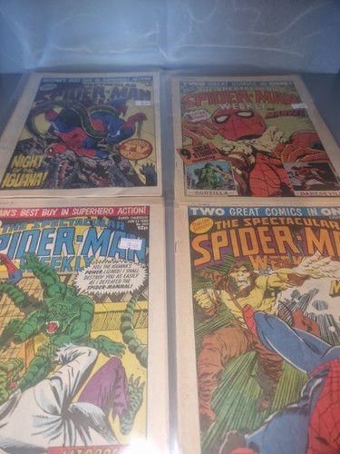 The spectacular spiderman - the,