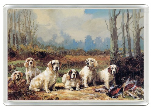 Clumber spaniel dogs - clumber,