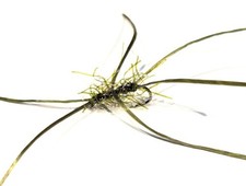 Bloodworm Apps Straggle Olive