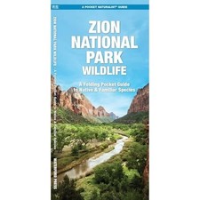 Zion National Park Wildlife -