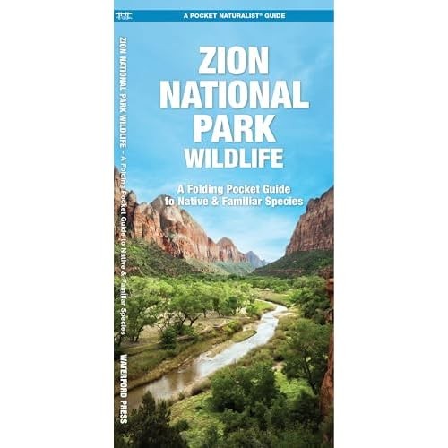 Zion national park - park, wildlife