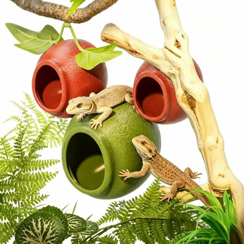 Suction cup reptile - cup, hideouts