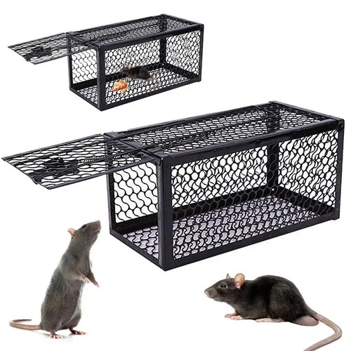 Rat catcher spring - 2,