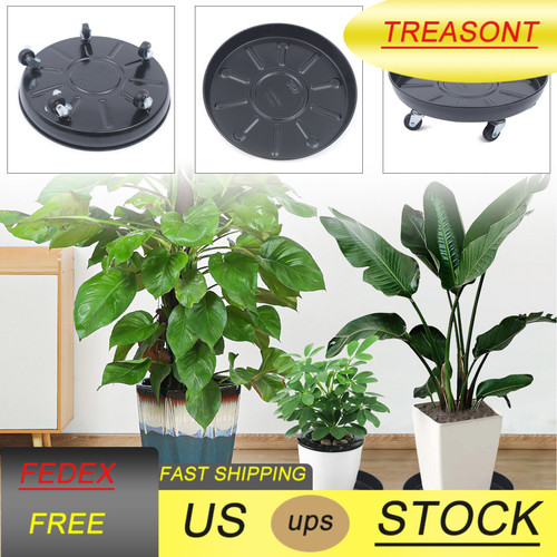 Pack plant dolly - 3,