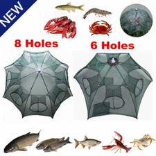 6 / 8 Holes Foldable Fishing