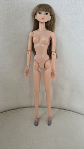 2016 sekiguchi petworks momoko - 2016,