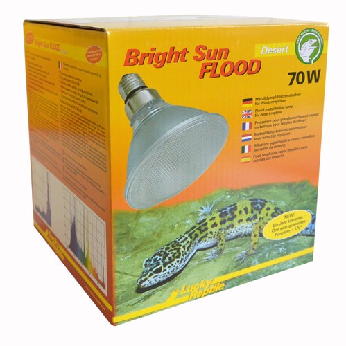 Bright sun desert flood - uv,