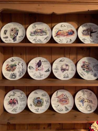 Wedgwood birdwatchers - 12,