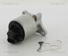 TRISCAN 8813 24004 EGR Valve