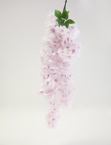 Cherry blossom flower - cherry, silk