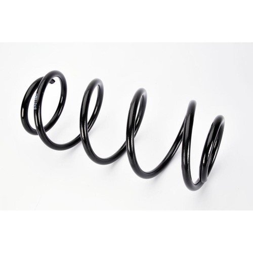 Coil spring front fits - spring, l/r