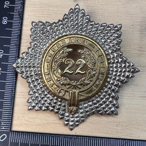 Victorian british army 22nd - victorian,