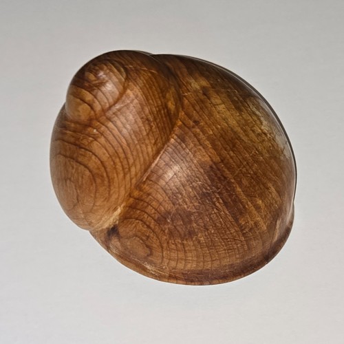 Vintage carved wooden nautilus - vintage,