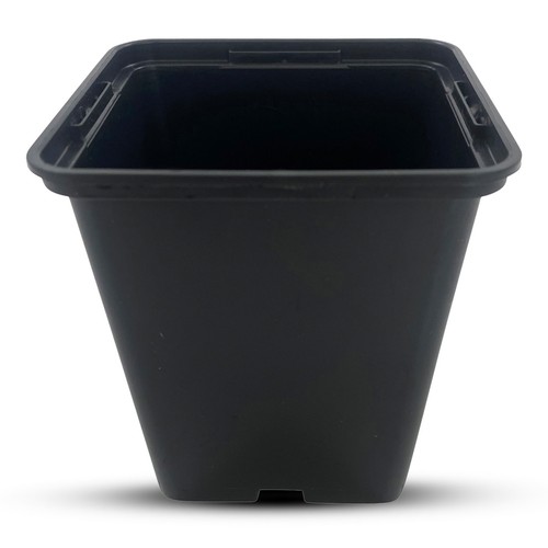 9cm rigid square plant - 9cm,