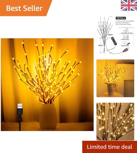 3pk led branches twig - 60",