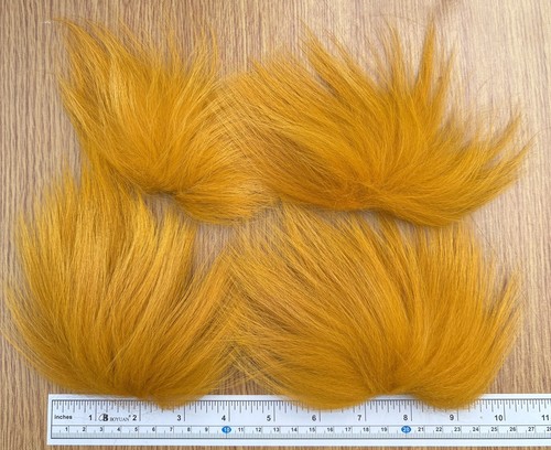 Arctic silver fox bleached - silver, fox.
