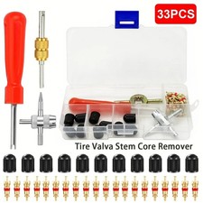 33Pcs Tyre Brass Valve Core