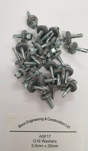100 25mm tek - x, screw