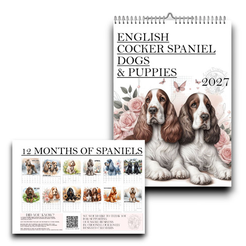 English cocker spaniel - cocker,