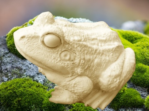 Latex frog mold plaster cement