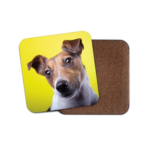 Cheeky jack russell - cheeky, terrier