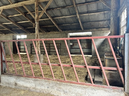 Cattle livestock feed barriers - feed,