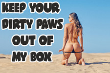 Makita Dewalt Tool Box Work Shop  Sticker Keep Your Dirty Paws Out Size Large