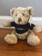 Official Williams BMW Motor