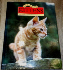 The Treasury of Kittens by