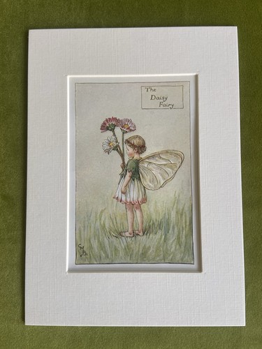 Daisy flower fairy - ‘daisy’,