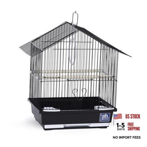 Prevue pet parakeet manor bird - parakeet,