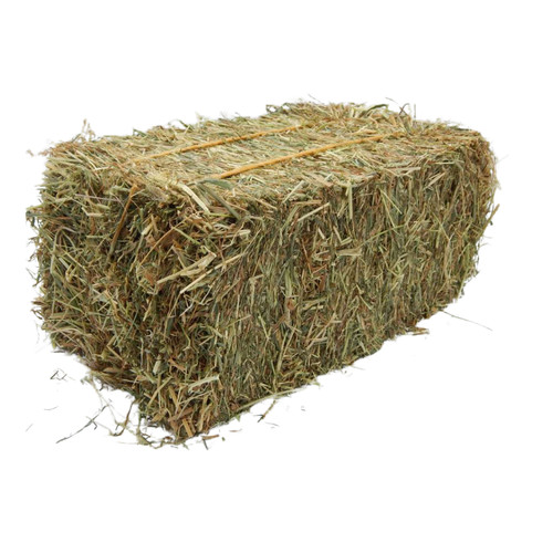 Mini hay bale meadow - hay,