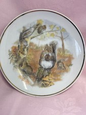 wildlife of britain squirrels