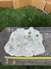 RK6 - 3.1KG Tonga Plate Dry Live Rock For Marine Saltwater Fish Tank Aquarium 