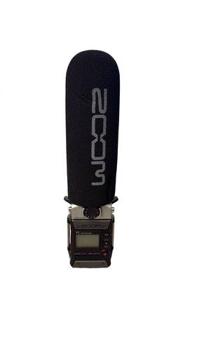 Zoom field recorder - zoom, f1