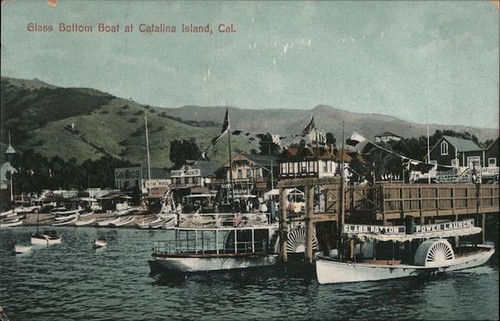 Santa catalina island - santa,