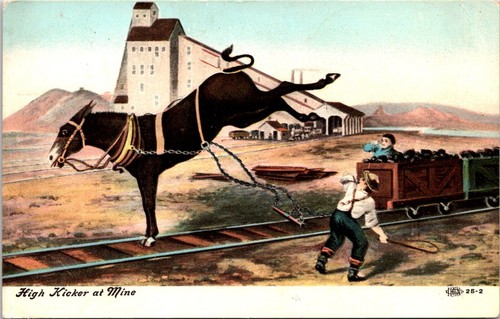 Postcard 1907 coal mine horse - coal,