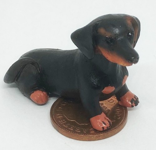Dolls house dachshund - dachshund, dog