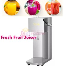 Fruit Squeezer Stainless Steel