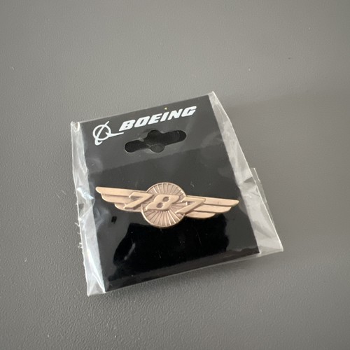 Boeing 787 airplane - boeing,