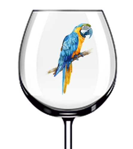 12x blue gold - gold, parrot