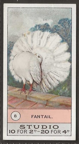 Smiths fowls pigeons dogs - &,