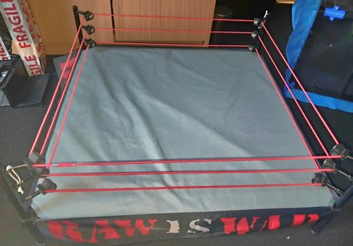 Wwe authentic scale attitude - scale,