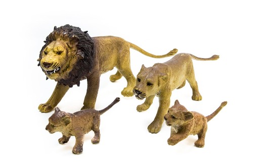 Aaa elc animals lions family - aaa,