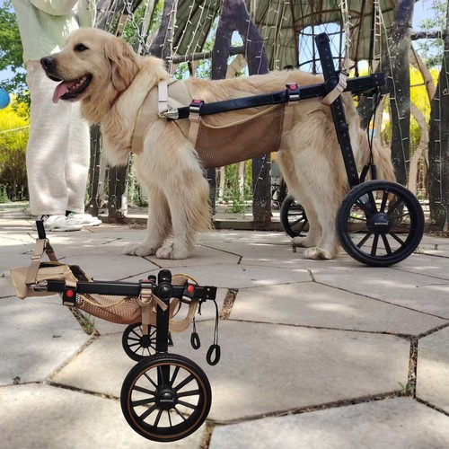 Adjustable dog pet - dog,